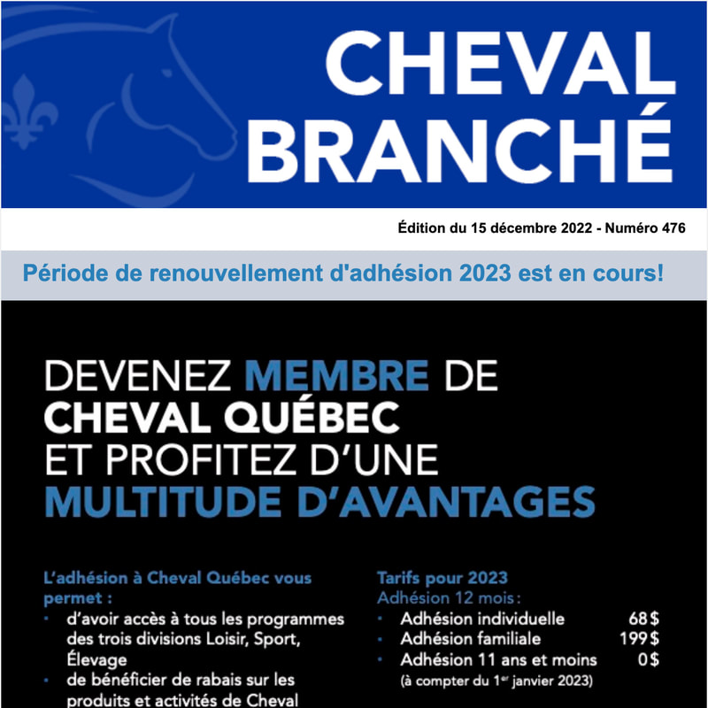 Cheval Branché #476 - 15 décembre 2022