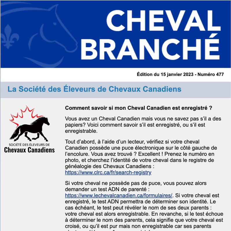 Cheval Branché #477 - 15 janvier 2023