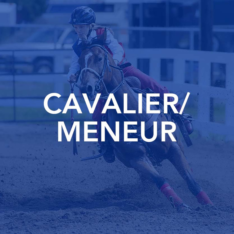 Cavalier-Meneur