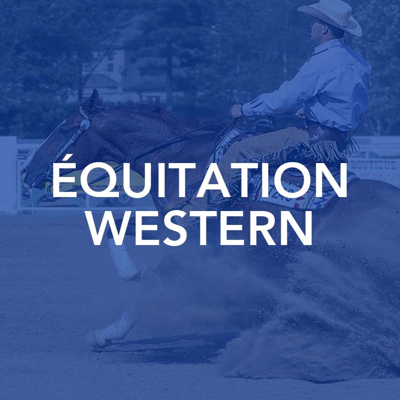 Équitation western
